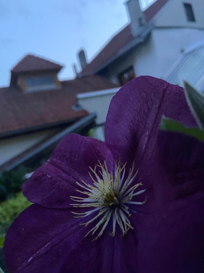 Gasthof Zum Mohrn Oberwoelz Stadt ภายนอก รูปภาพ